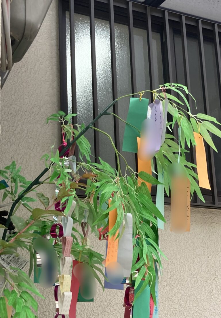七夕🎋✨