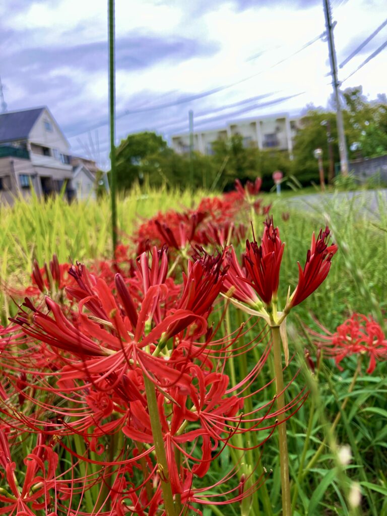 体調管理にご注意を😌