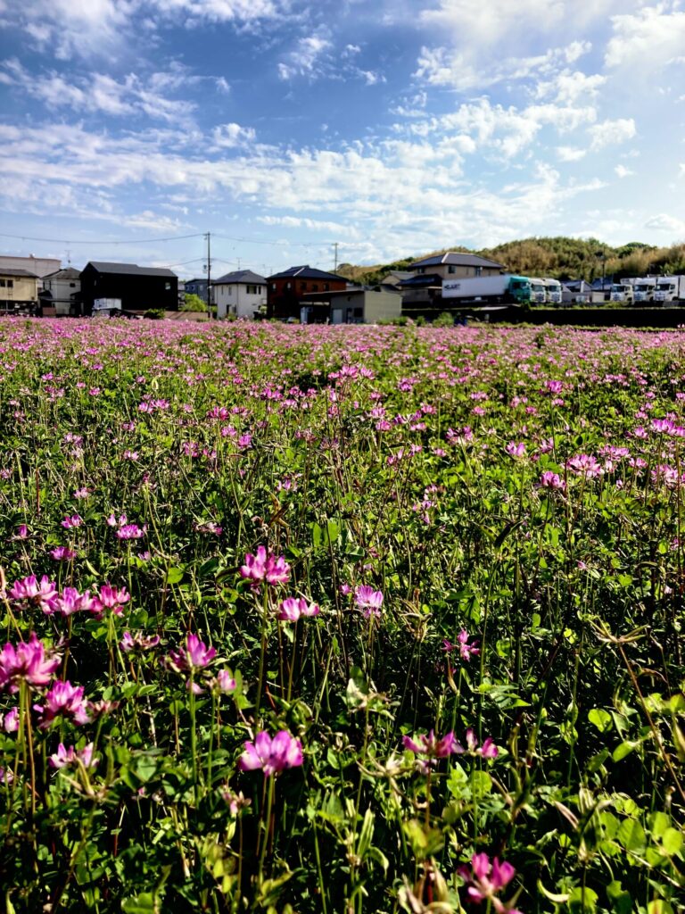 いつのまにやらG.W.