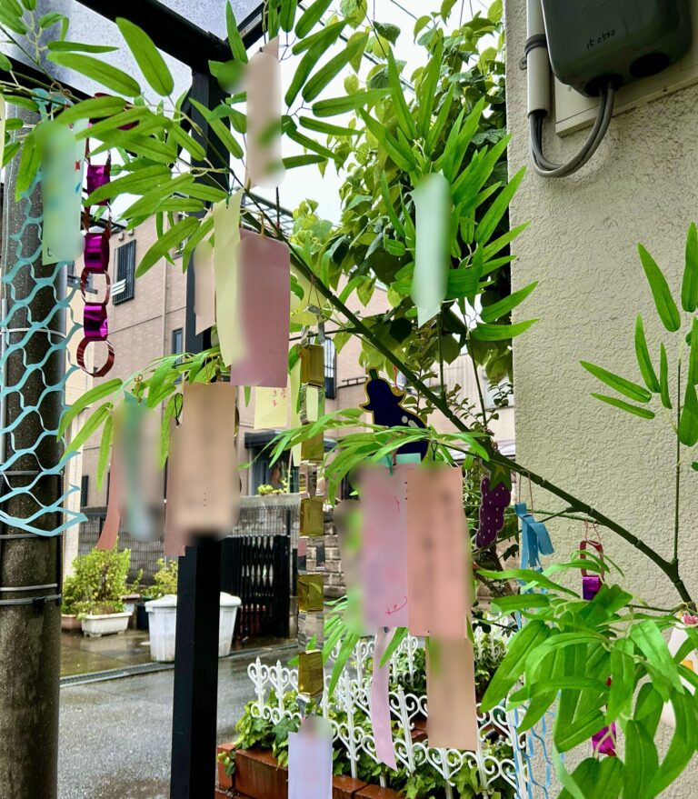 🎋七夕さま🌌